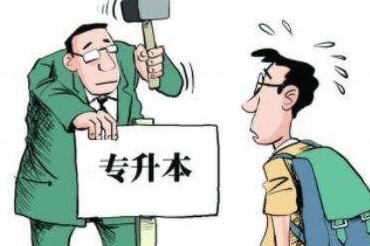 专升本报名电话